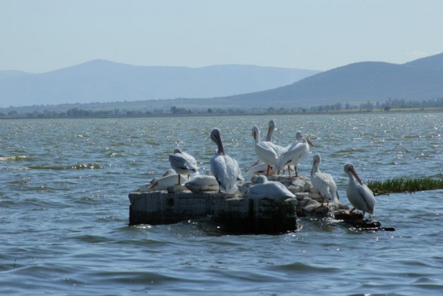Paseos en el mar